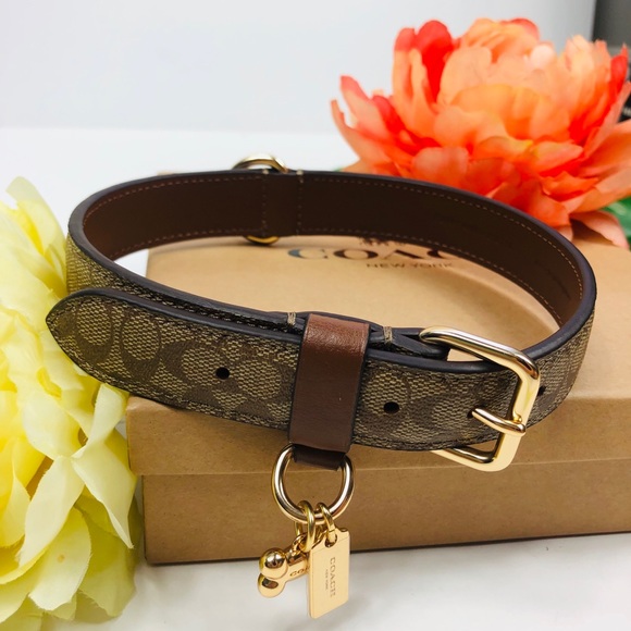 coach dog collar